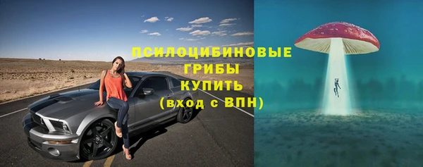 трава Беломорск