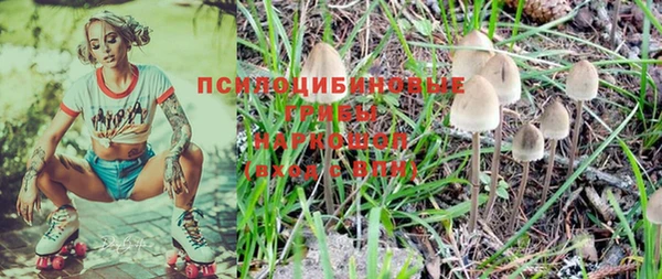 трава Беломорск