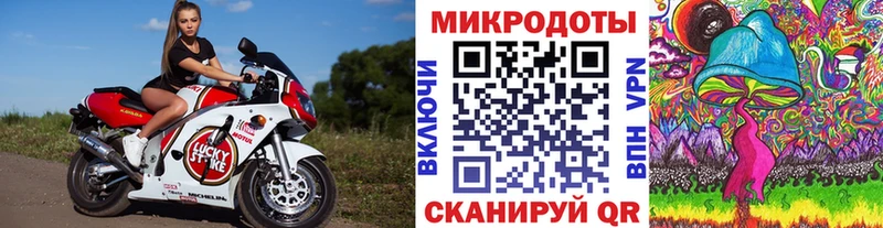 купить закладку  Очёр  Галлюциногенные грибы Cubensis 