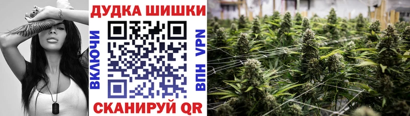 Шишки марихуана сатива  Очёр 